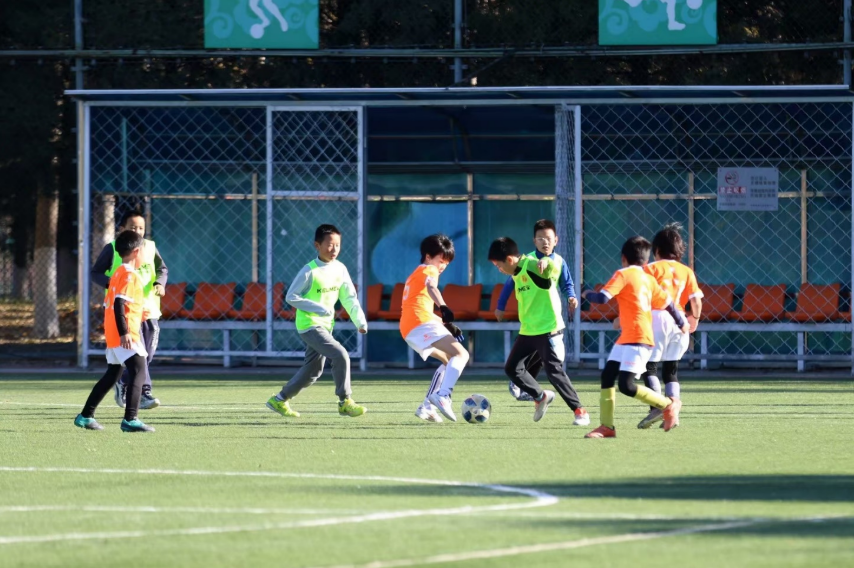 屏幕截图 2024-11-20 120948.png